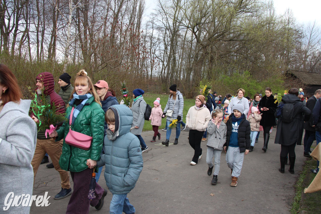 Wielkanoc w śląskim skansenie, procesja z palmami [GALERIA]