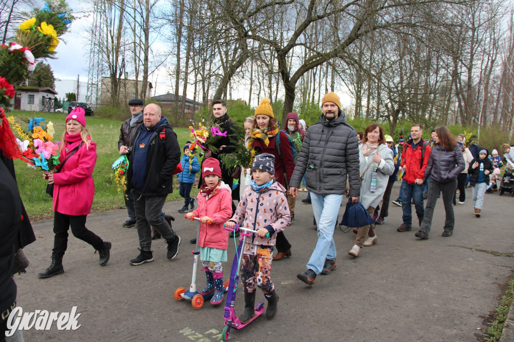 Wielkanoc w śląskim skansenie, procesja z palmami [GALERIA]