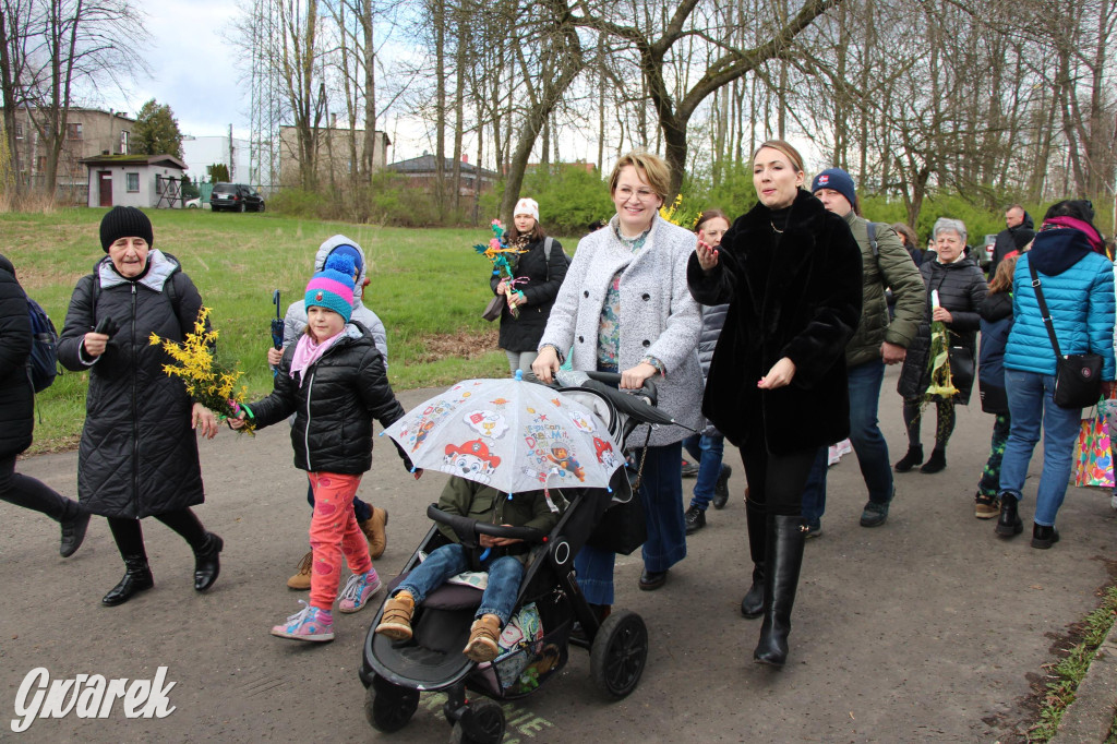 Wielkanoc w śląskim skansenie, procesja z palmami [GALERIA]