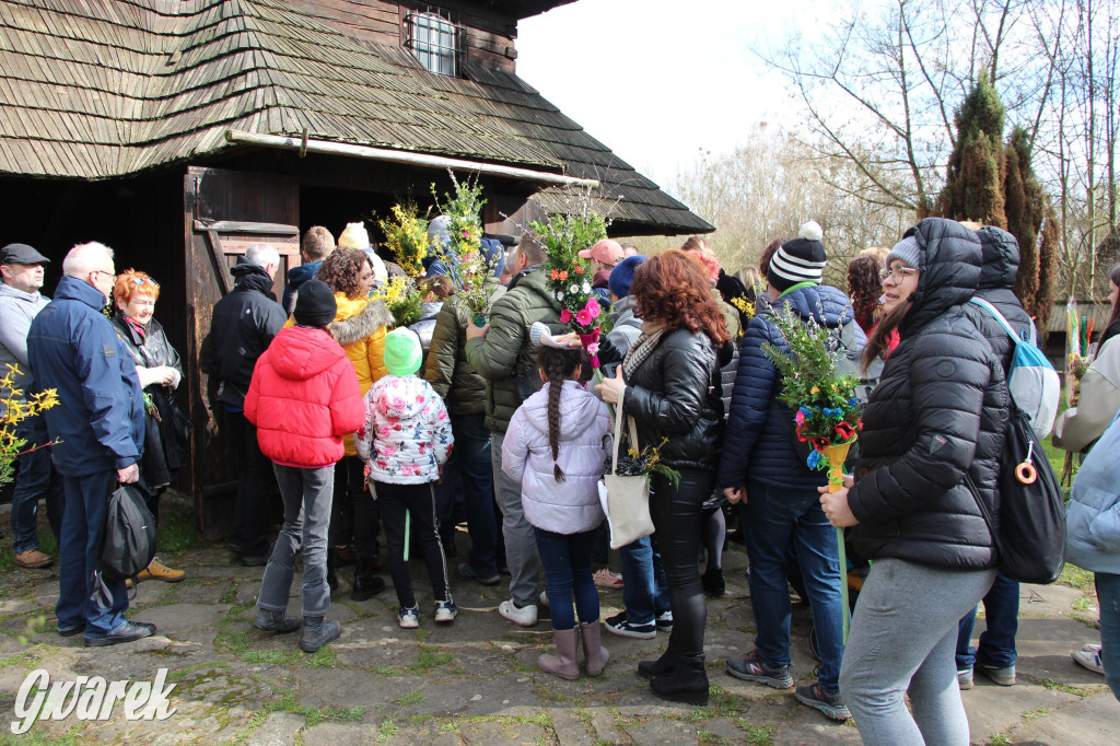 Wielkanoc w śląskim skansenie, procesja z palmami [GALERIA]