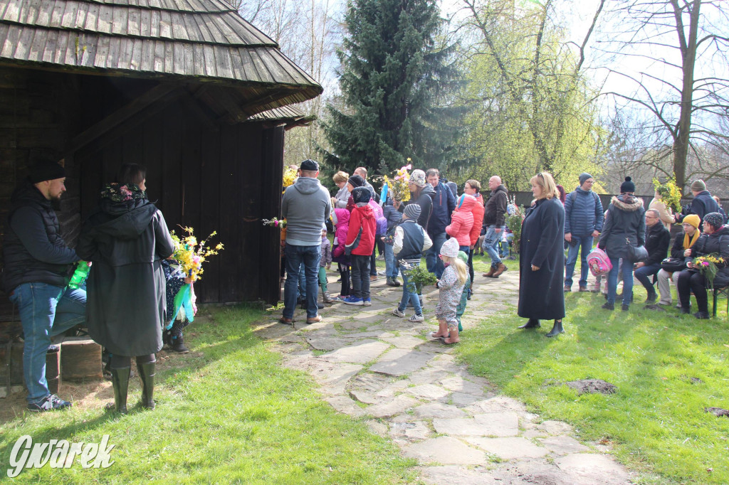 Wielkanoc w śląskim skansenie, procesja z palmami [GALERIA]