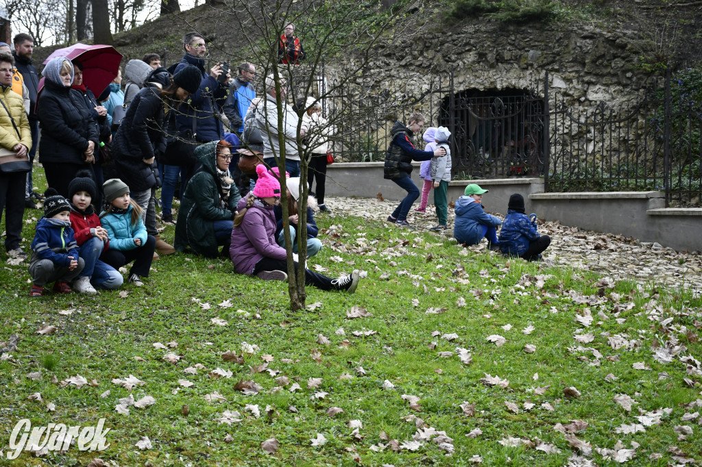 Wieczerza i uwięzienie. Misterium na kalwarii [FOTO]