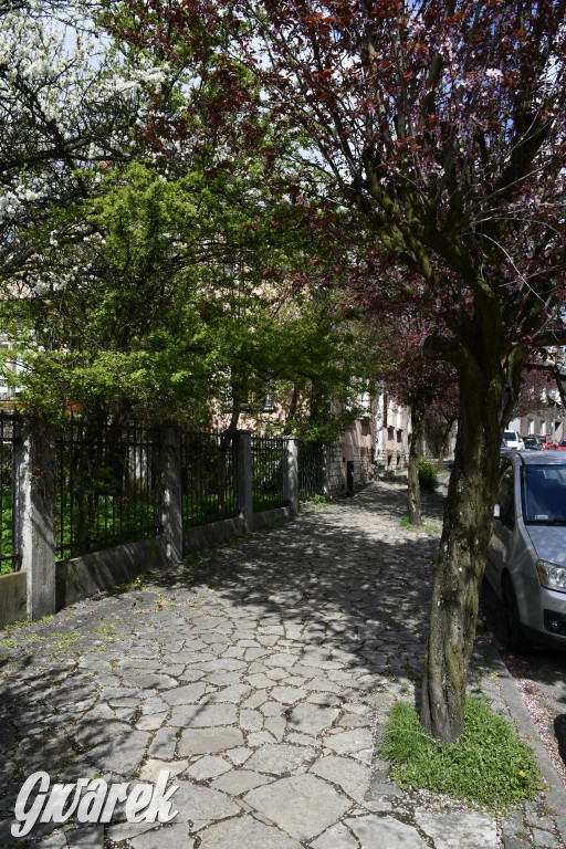 Tarnowskie Góry. Wiśniowy Sad znowu się otwiera