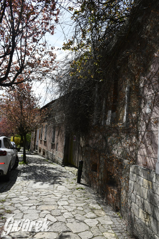 Tarnowskie Góry. Wiśniowy Sad znowu się otwiera