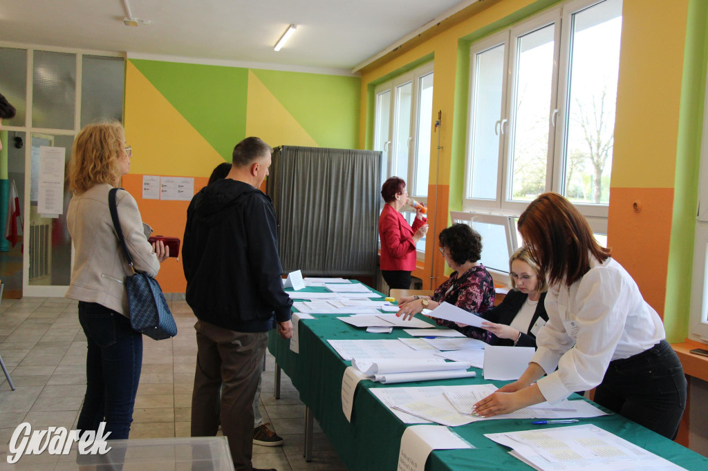 Tarnowskie Góry. Wybieramy samorządowców