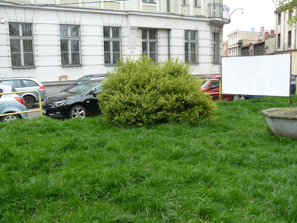 Tarnowskie Góry. Zniknie parking w centrum miasta?