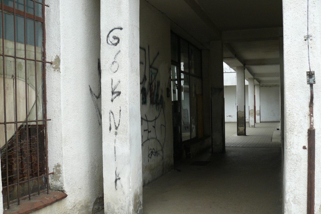 Tarnowskie Góry. MTBS zarządza tzw. Wigolandem