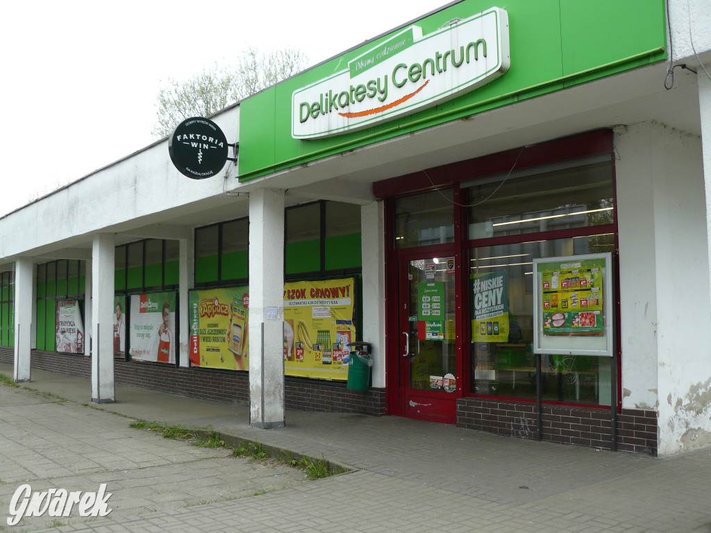 Tarnowskie Góry. MTBS zarządza tzw. Wigolandem