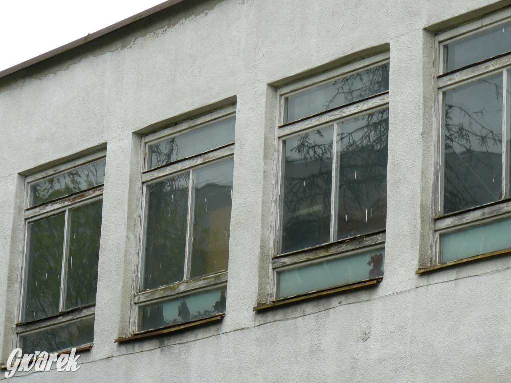 Tarnowskie Góry. MTBS zarządza tzw. Wigolandem