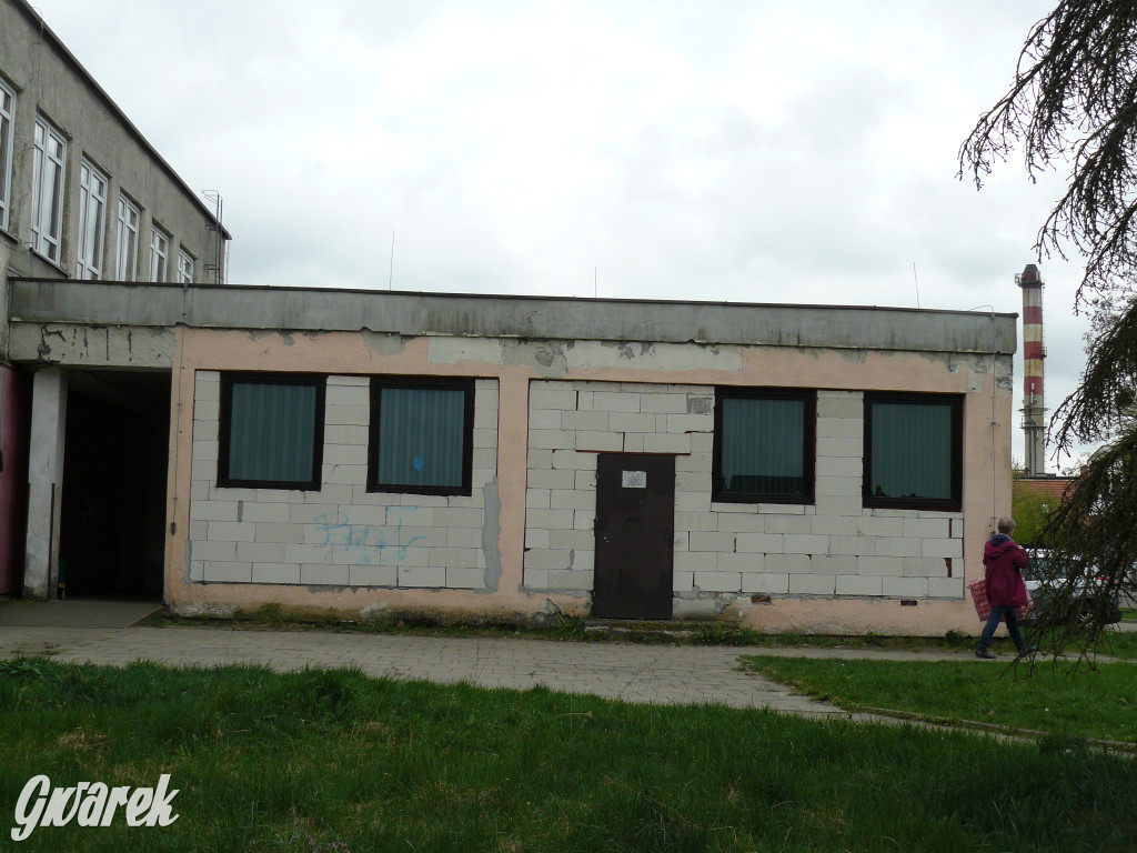 Tarnowskie Góry. MTBS zarządza tzw. Wigolandem