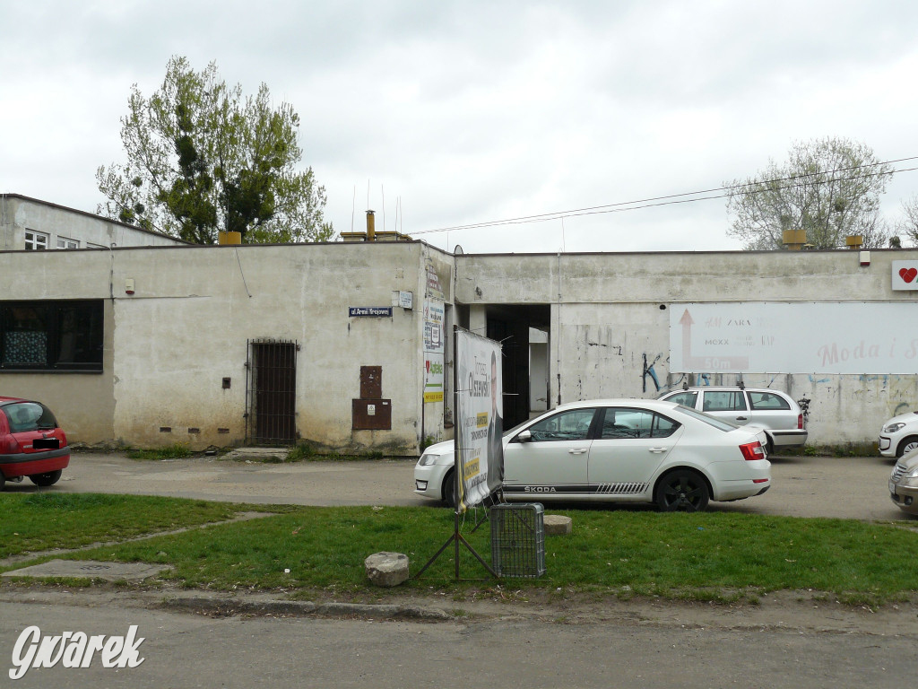 Tarnowskie Góry. MTBS zarządza tzw. Wigolandem