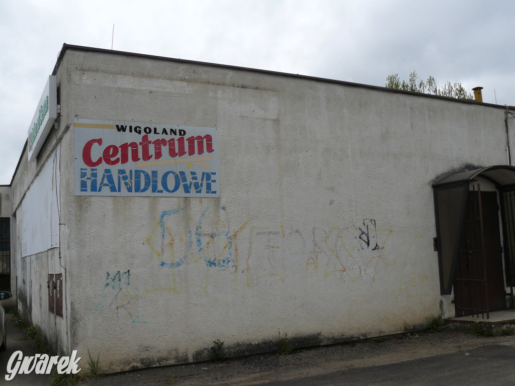 Tarnowskie Góry. MTBS zarządza tzw. Wigolandem