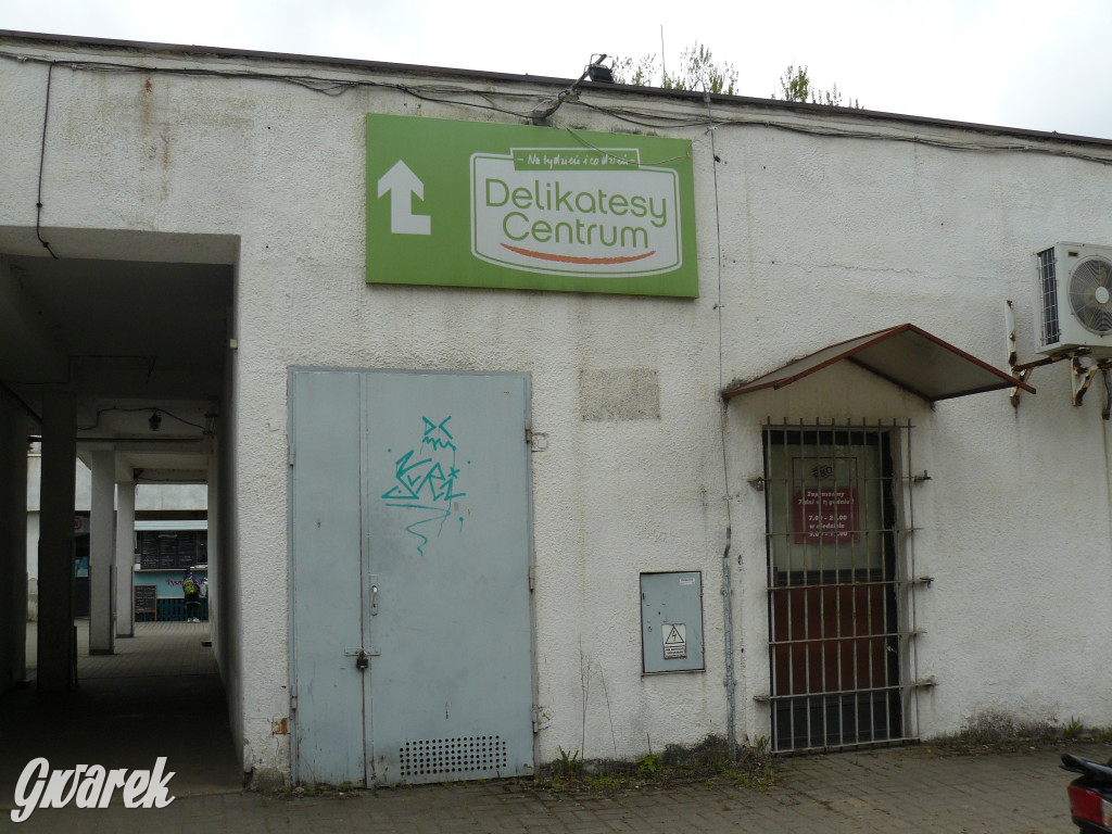 Tarnowskie Góry. MTBS zarządza tzw. Wigolandem