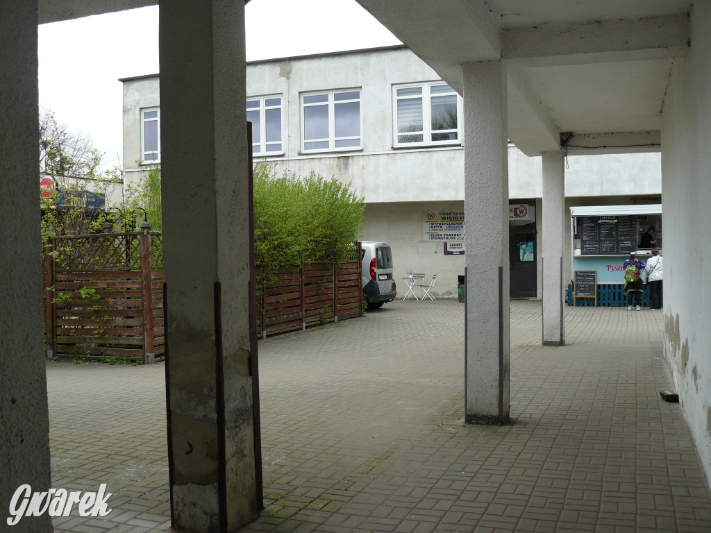 Tarnowskie Góry. MTBS zarządza tzw. Wigolandem