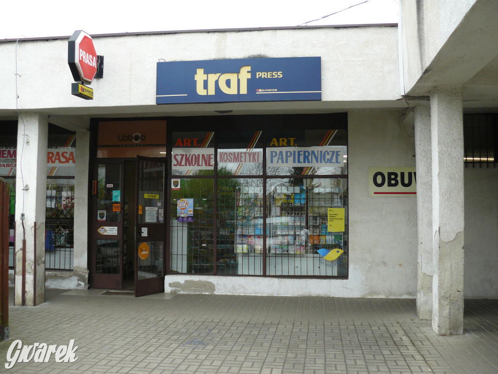 Tarnowskie Góry. MTBS zarządza tzw. Wigolandem