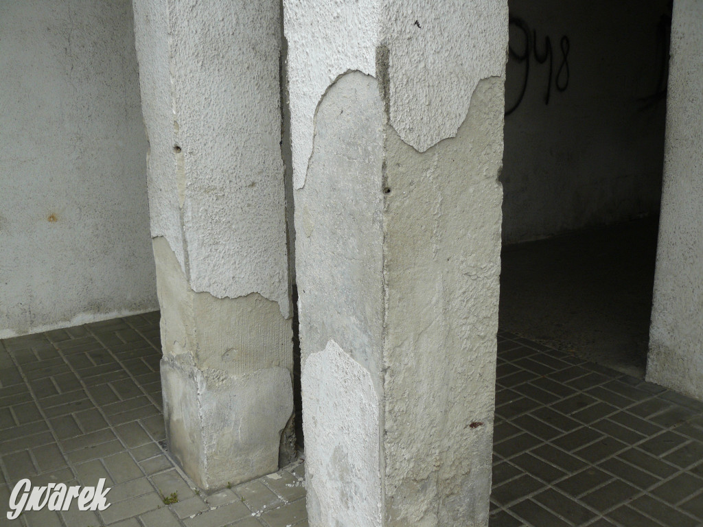 Tarnowskie Góry. MTBS zarządza tzw. Wigolandem