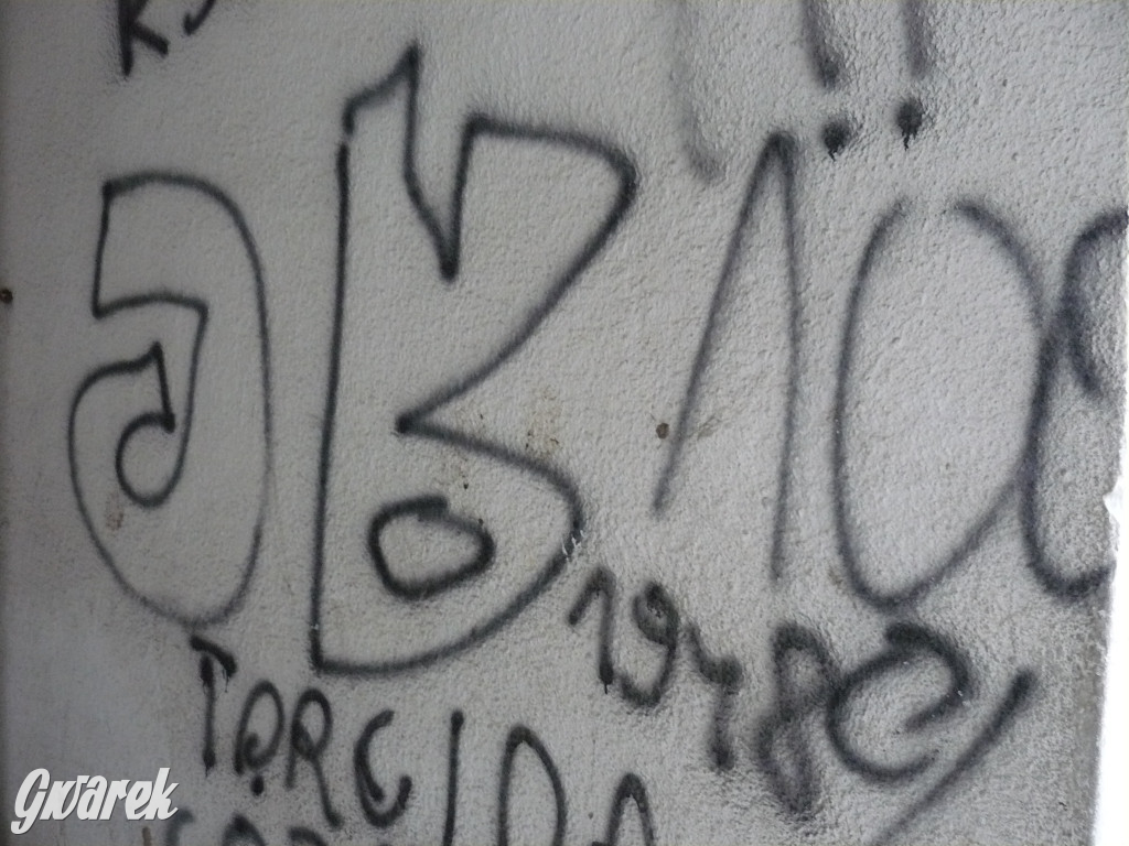 Tarnowskie Góry. MTBS zarządza tzw. Wigolandem