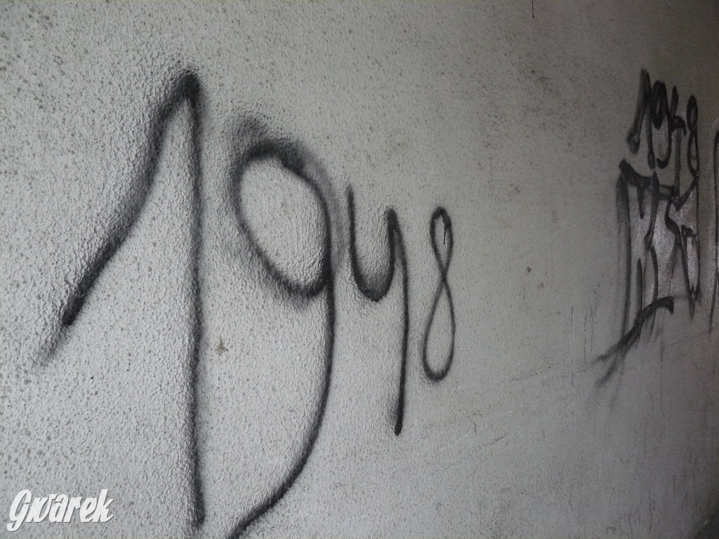 Tarnowskie Góry. MTBS zarządza tzw. Wigolandem