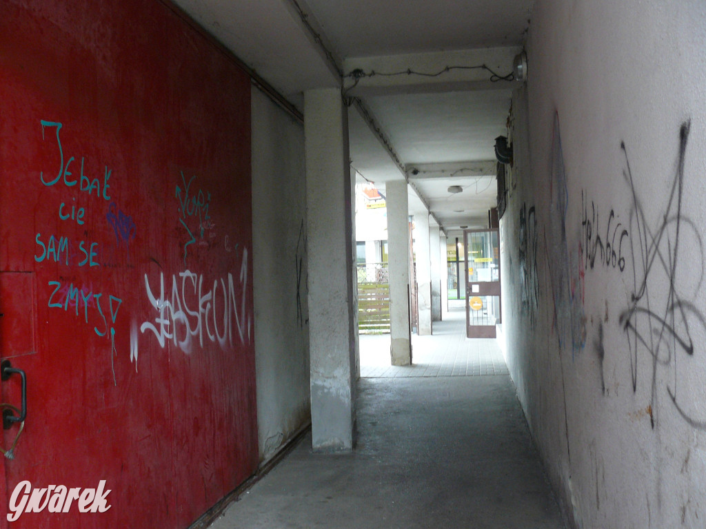 Tarnowskie Góry. MTBS zarządza tzw. Wigolandem