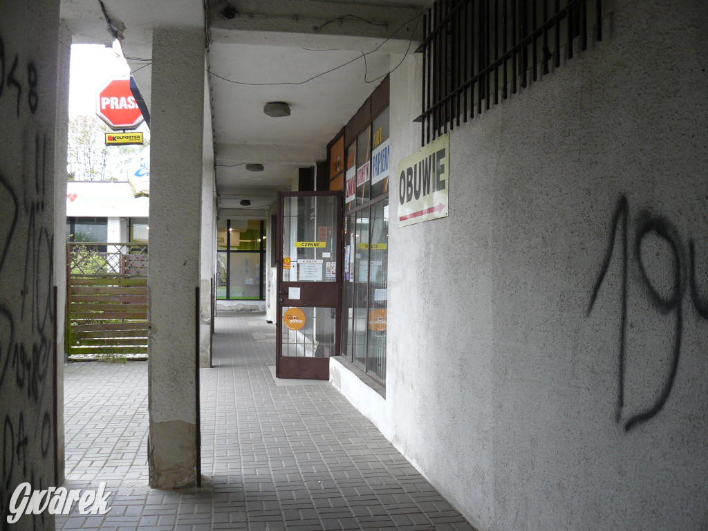 Tarnowskie Góry. MTBS zarządza tzw. Wigolandem