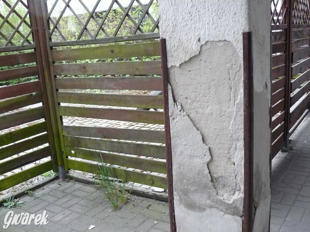 Tarnowskie Góry. MTBS zarządza tzw. Wigolandem