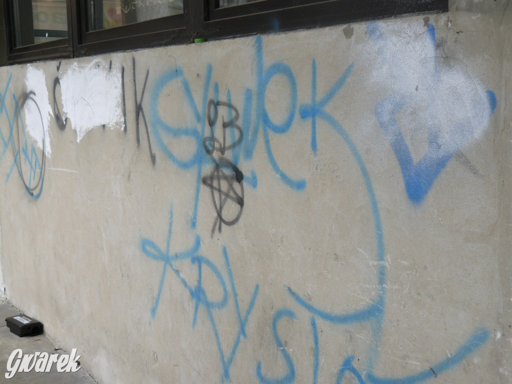 Tarnowskie Góry. MTBS zarządza tzw. Wigolandem