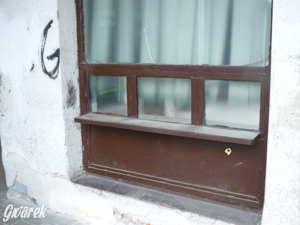 Tarnowskie Góry. MTBS zarządza tzw. Wigolandem