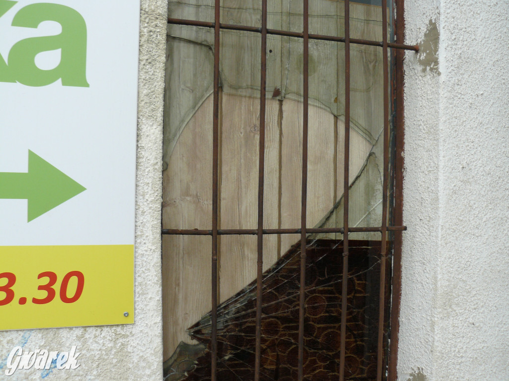 Tarnowskie Góry. MTBS zarządza tzw. Wigolandem