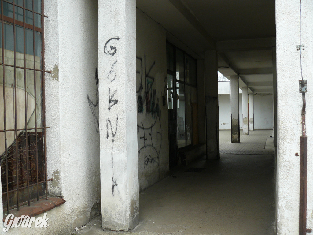 Tarnowskie Góry. MTBS zarządza tzw. Wigolandem