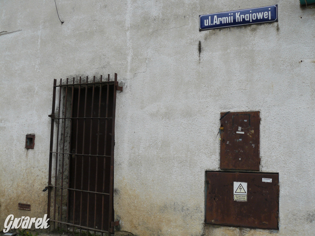 Tarnowskie Góry. MTBS zarządza tzw. Wigolandem