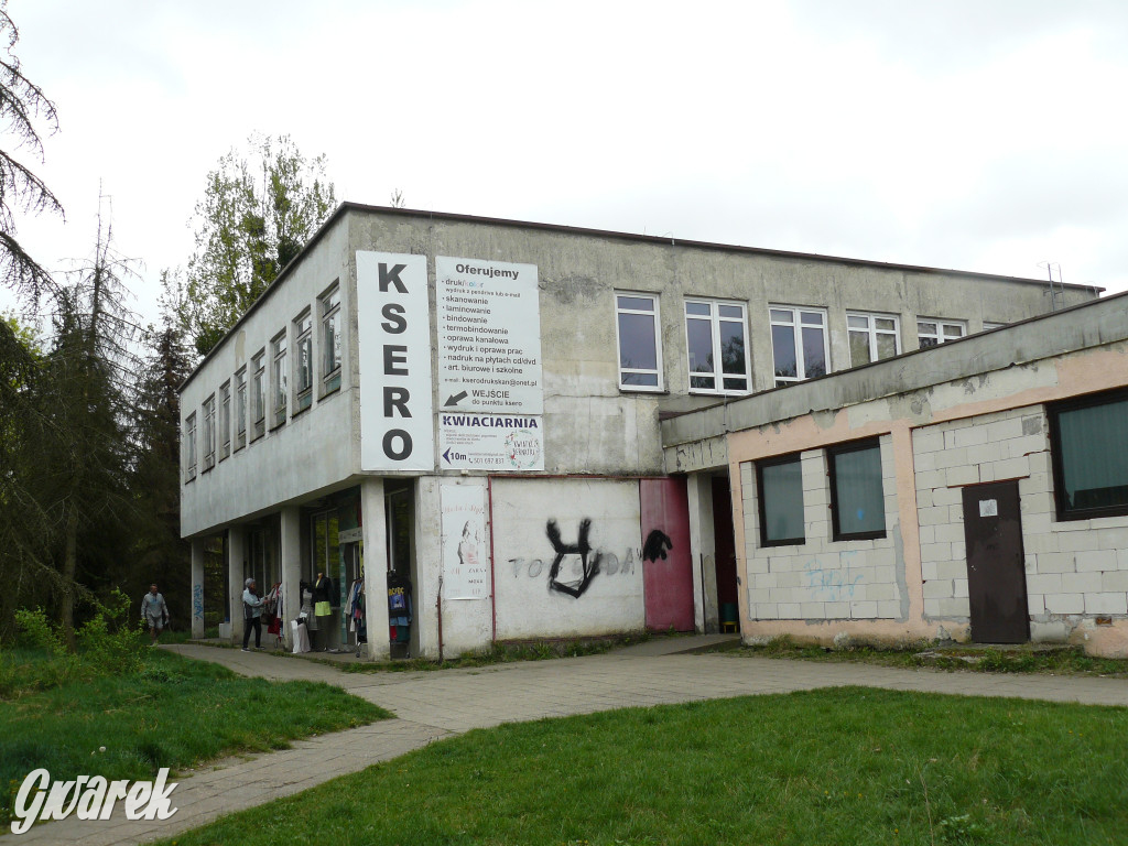 Tarnowskie Góry. MTBS zarządza tzw. Wigolandem