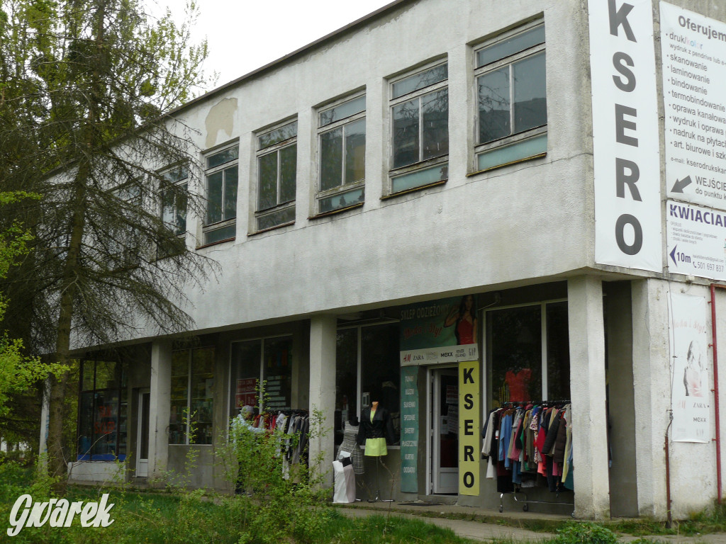 Tarnowskie Góry. MTBS zarządza tzw. Wigolandem