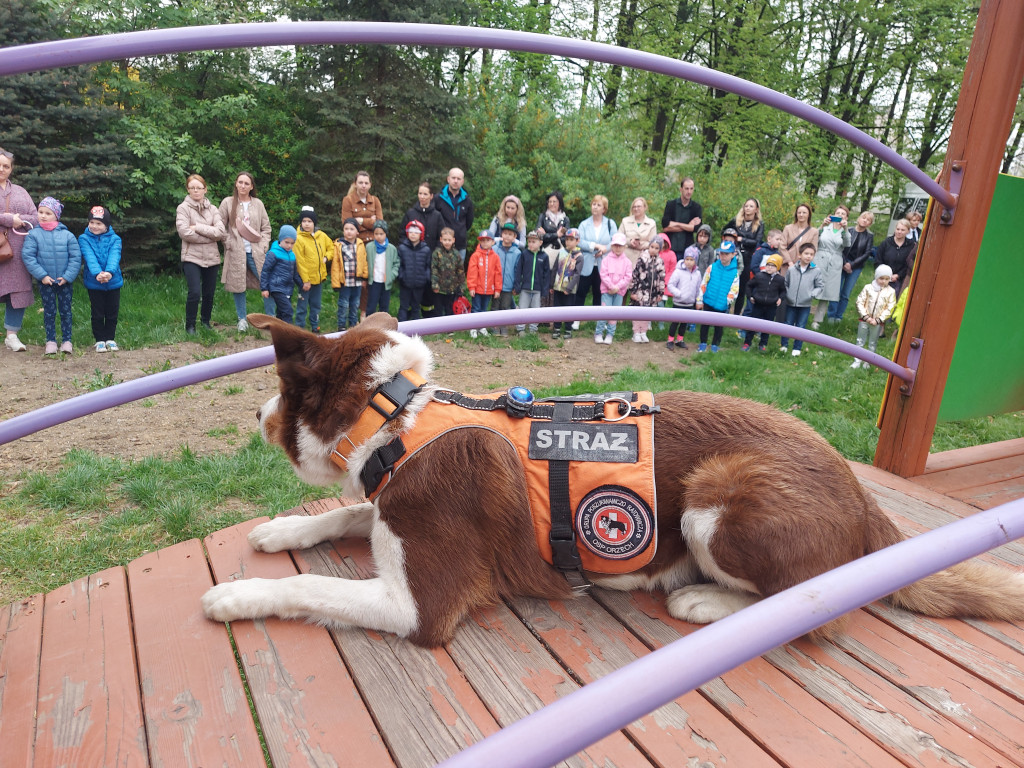 Odważni jak strażacy, czyli przedszkolacy w akcji