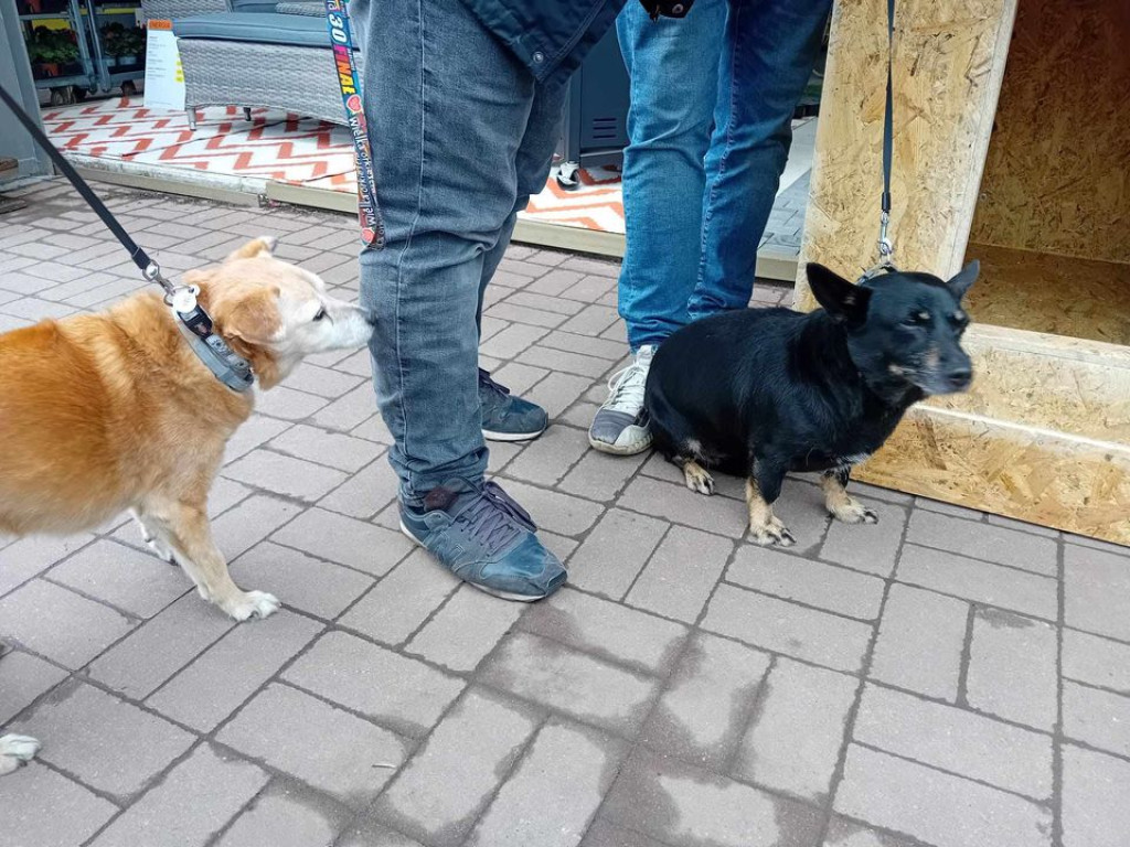 Uczniowie Budowlanki współpracują z Castoramą