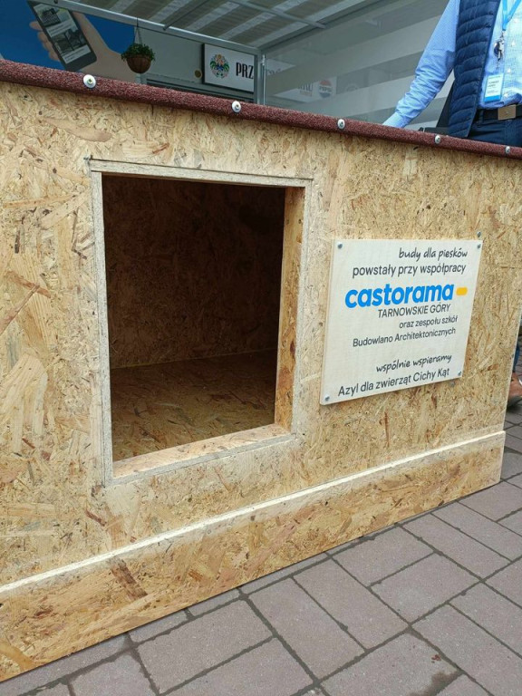 Uczniowie Budowlanki współpracują z Castoramą