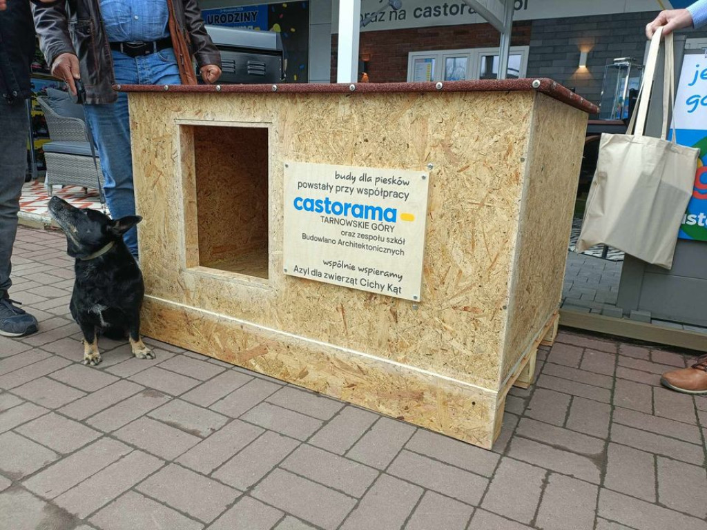 Uczniowie Budowlanki współpracują z Castoramą