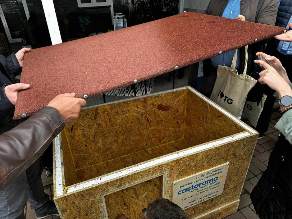 Uczniowie Budowlanki współpracują z Castoramą