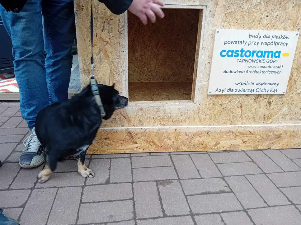 Uczniowie Budowlanki współpracują z Castoramą