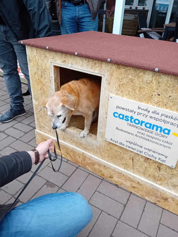 Uczniowie Budowlanki współpracują z Castoramą