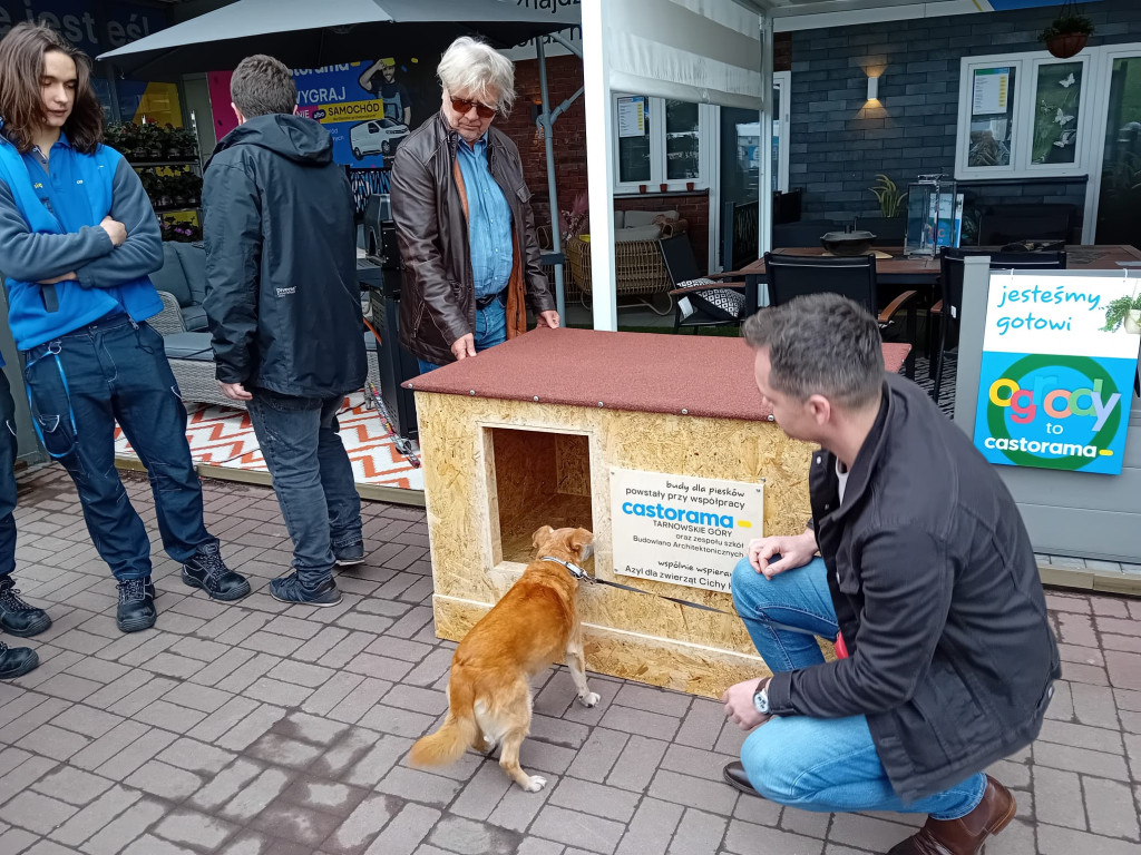 Uczniowie Budowlanki współpracują z Castoramą