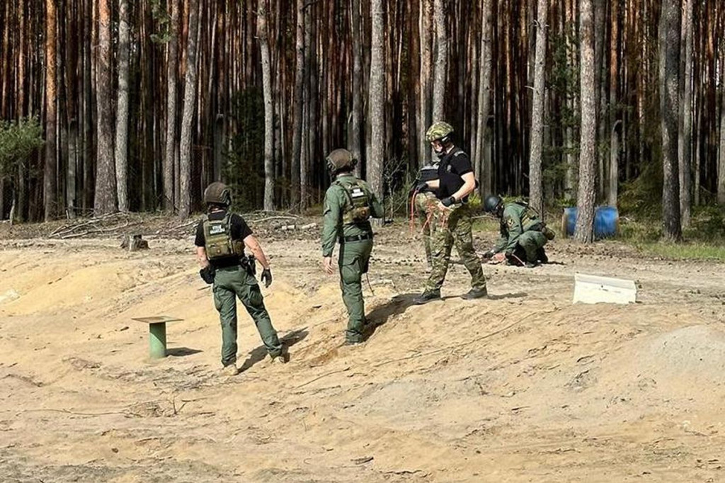Żołnierze i strażnicy graniczni. Akcja w Nitroergu [FOTO]