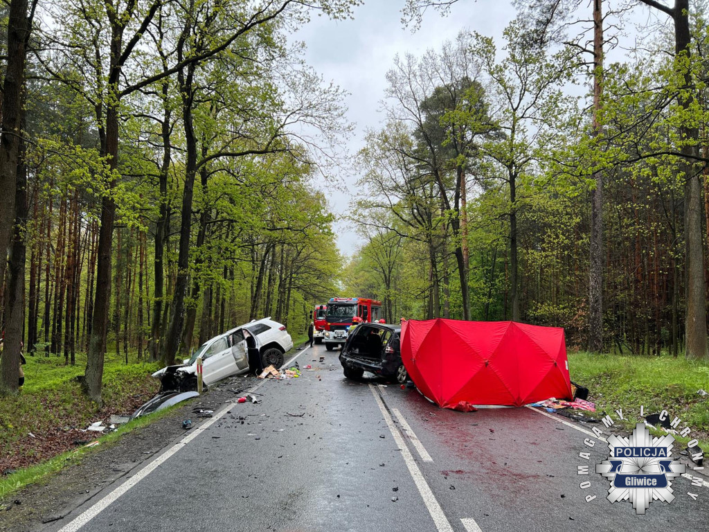 Tragedia na drodze. Zginęła matka i córka [FOTO]