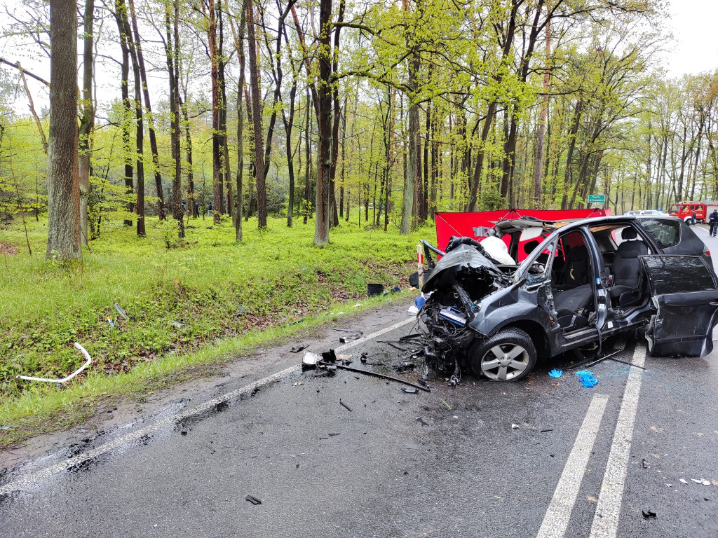 Tragedia na drodze. Zginęła matka i córka [FOTO]