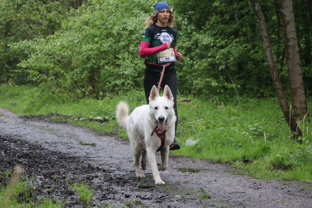 Pobiegli dla chorej nauczycielki z Tarnowskich Gór [FOTO]