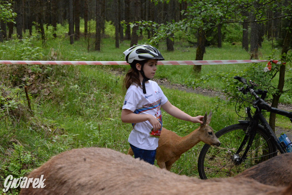 Kalety. Rajzowanie po kalyckich stanicach 2024