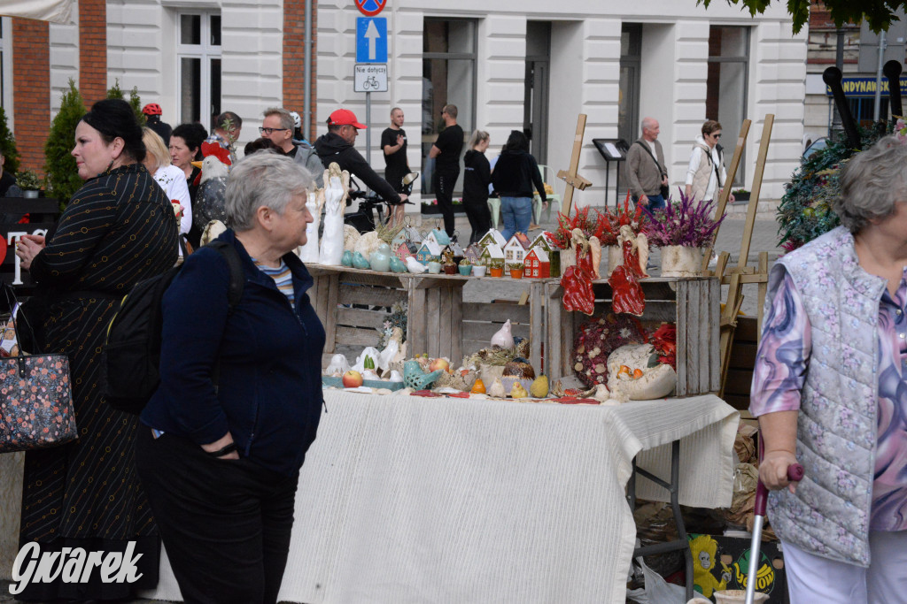 Tarnowskie Góry. Wybory Pięknej z Rept 2024