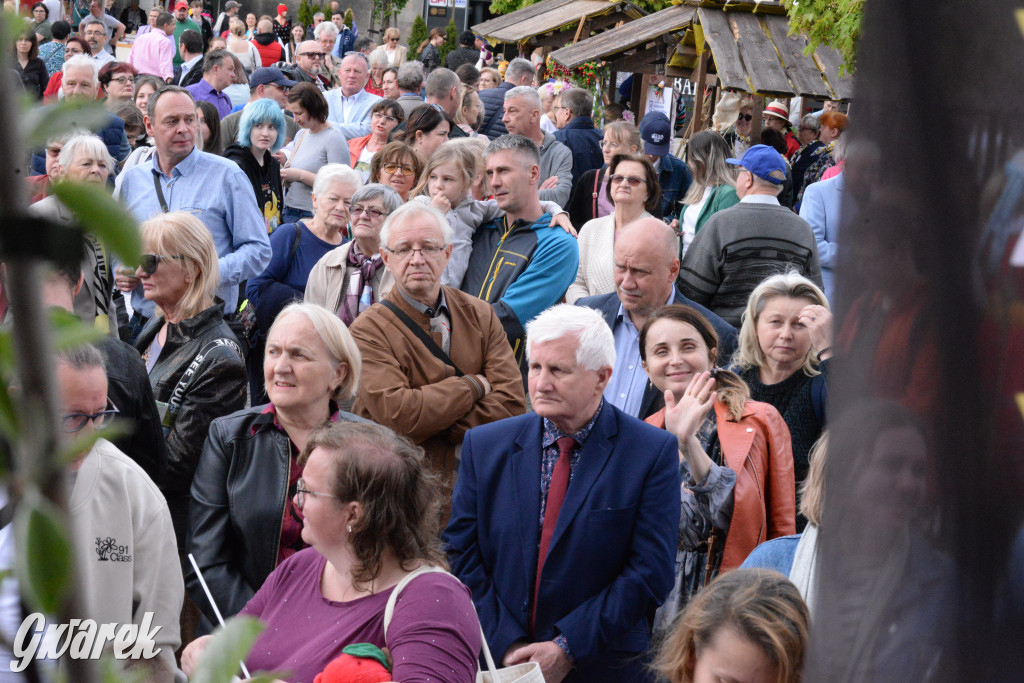 Tarnowskie Góry. Wybory Pięknej z Rept 2024