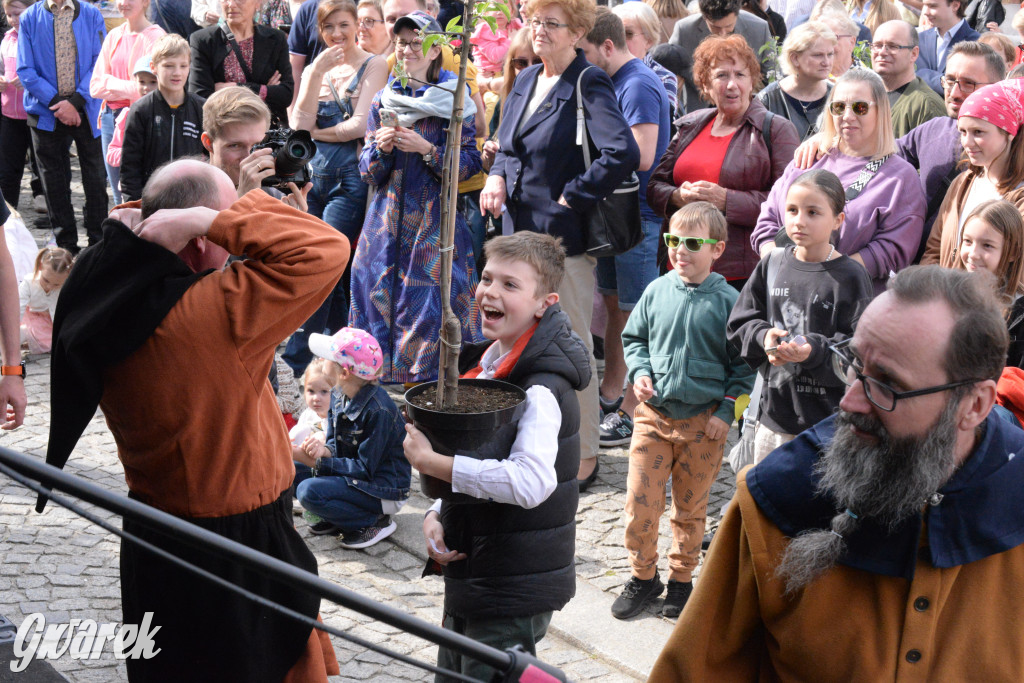 Tarnowskie Góry. Wybory Pięknej z Rept 2024