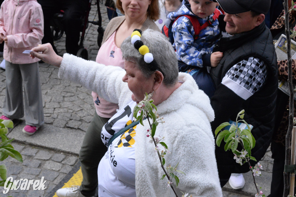 Tarnowskie Góry. Wybory Pięknej z Rept 2024