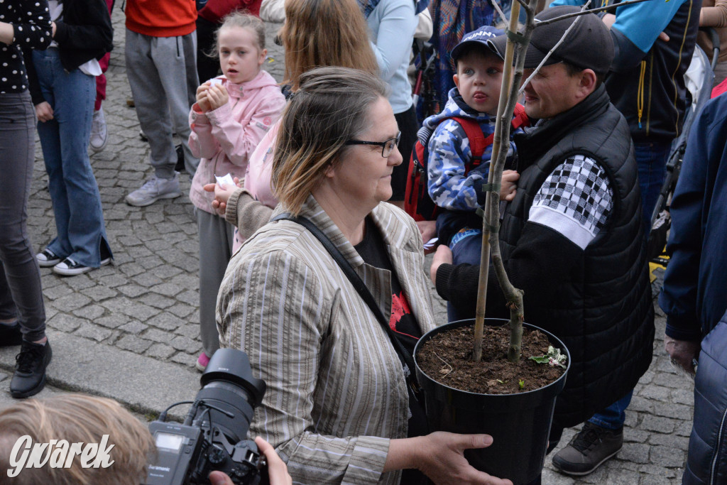 Tarnowskie Góry. Wybory Pięknej z Rept 2024